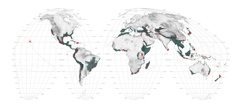 The world’s 33 hotspots for conflicts between urban growth and biodiversity. Image: Richard Weller / Hotspot Cities